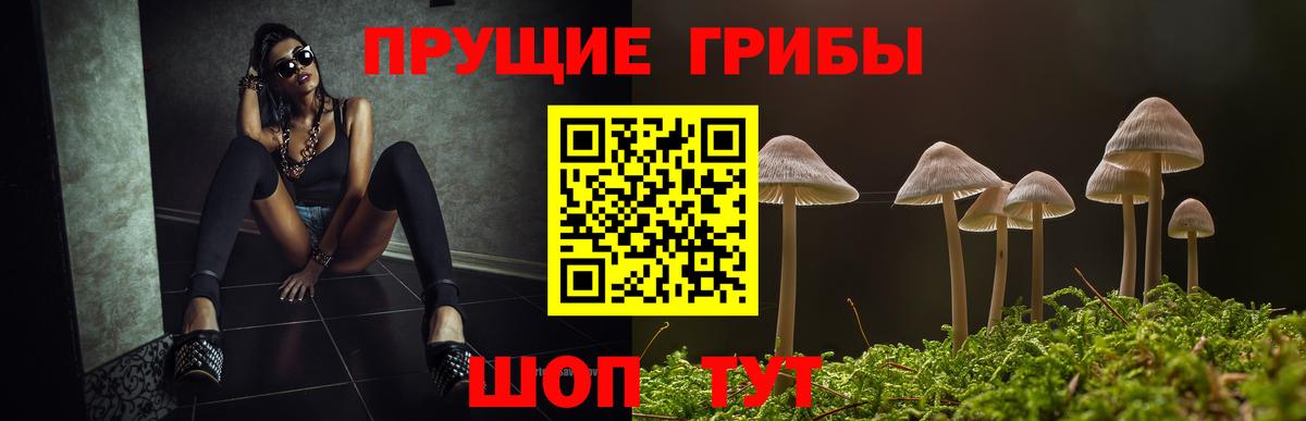 Галлюциногенные грибы Psilocybine cubensis  наркота  Псилоцибиновые грибы Psilocybine cubensis  Трёхгорный  Вход с VPN 
