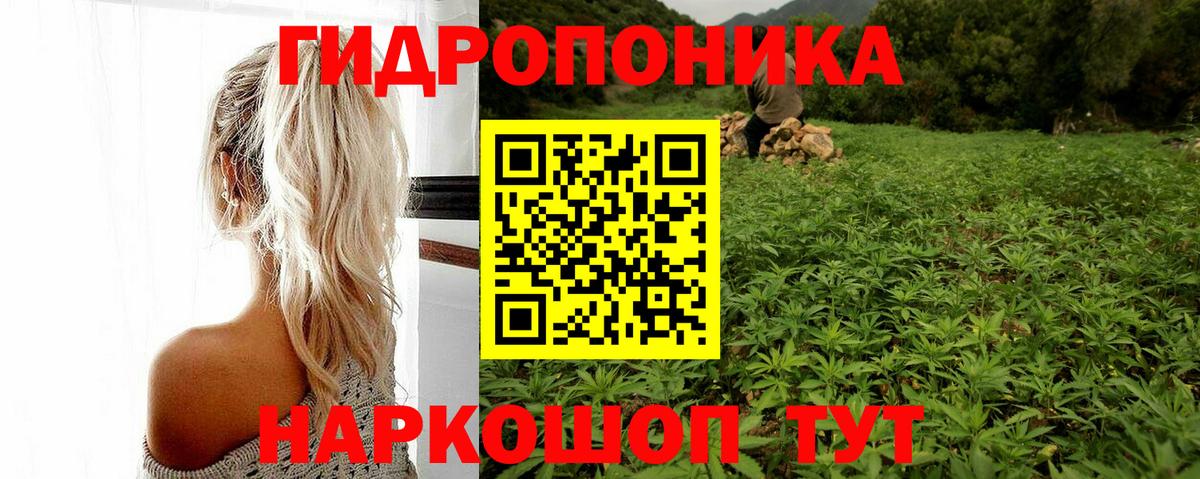 Марихуана планчик  Вход с VPN  Трёхгорный  Конопля Bruce Banner 